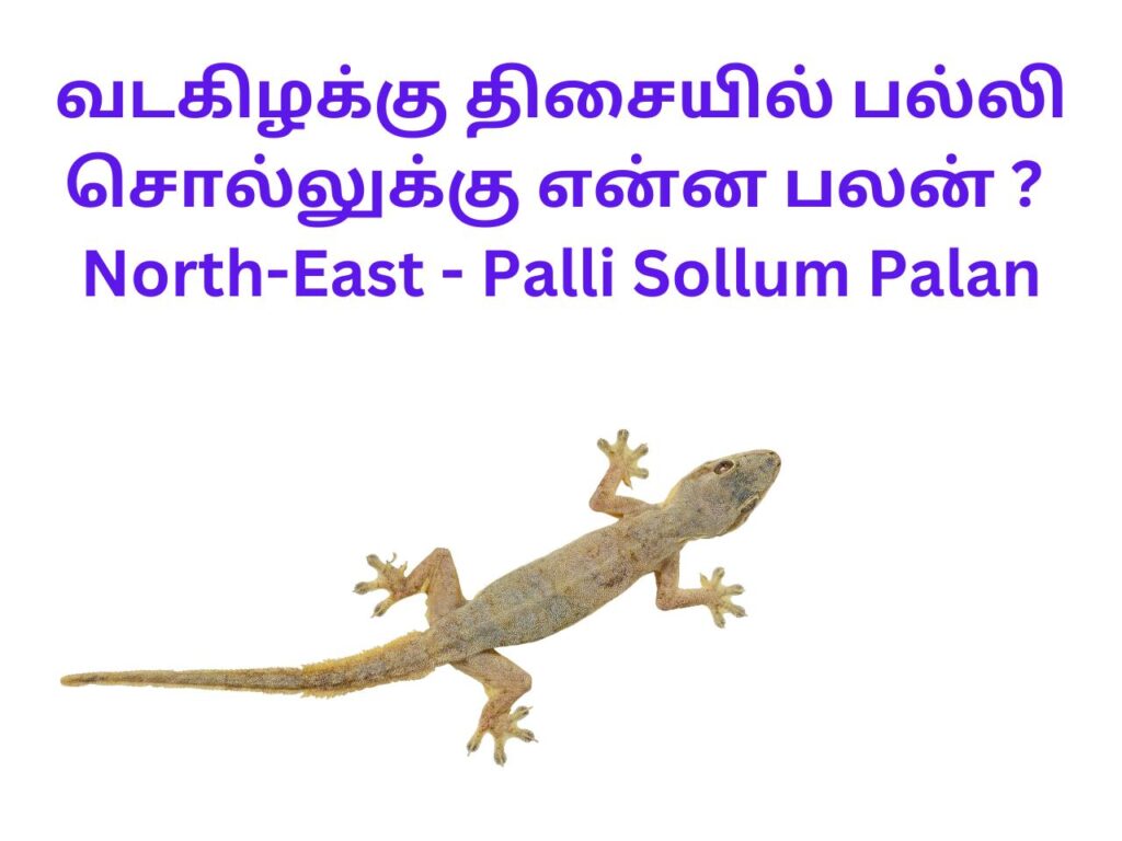 North-East - Palli Sollum Palan