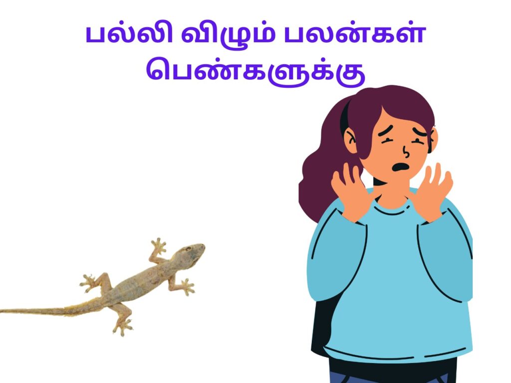 Palli Vilum Palan For Women